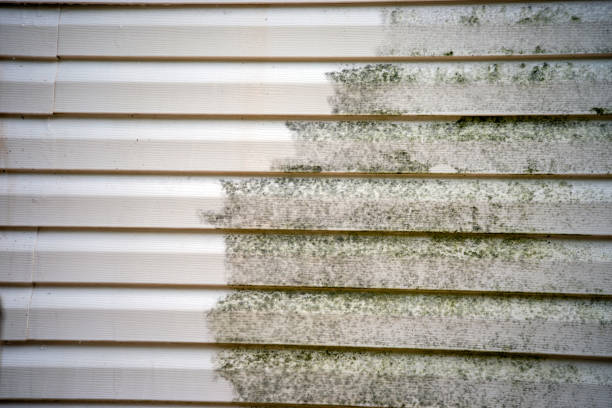 Best Carpet Removal and Disposal  in Myrtle Grove, FL